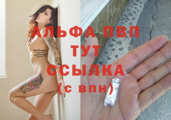СК Аркадак